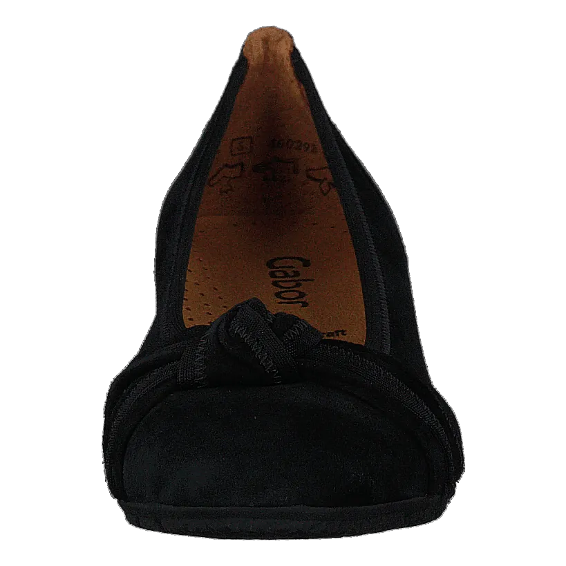 44.162.17 Black